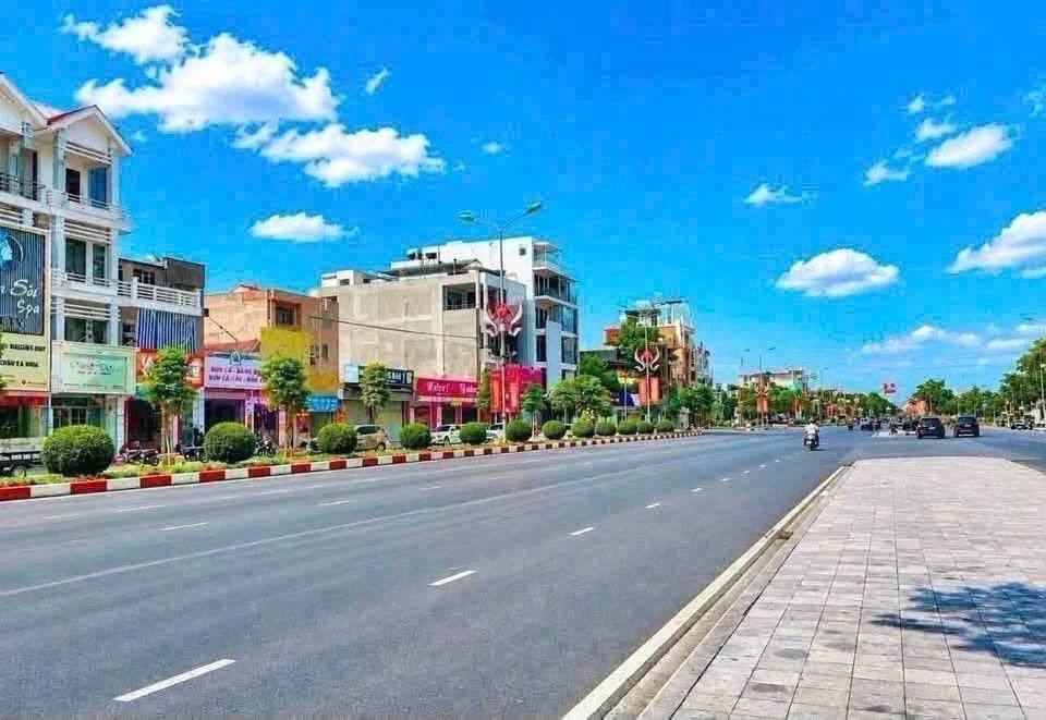 Bán đất mặt đường Thanh Niên 80m2, Hải Dương, 8 tỷ - Ảnh 1