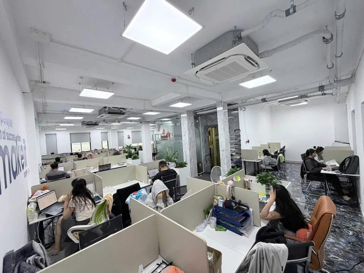 Cho thuê 2 căn nhà liền kề KĐT Lakeview, Song Hành, An Phú, Quận 2, sàn 705m2 - Ảnh thu nhỏ 2