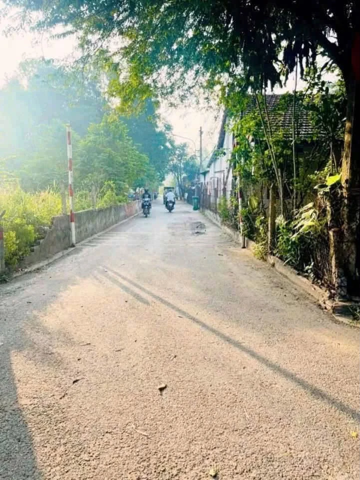 Bán lô đất thổ cư 100m2 hẻm Thanh Bình, Phường Phú An giá 1,28 tỷ - Ảnh thu nhỏ 2