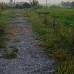 Bán 500m² đất vườn xã Đức Tân Tây Ninh 350 triệu - Ảnh thu nhỏ 2