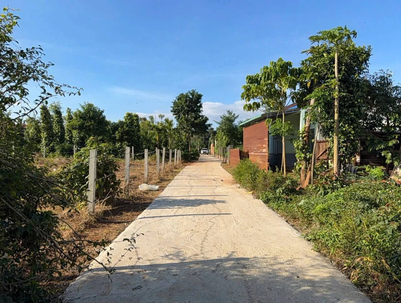 Bán đất KCN Phú Xuân 450m² Bình Chánh 1 tỷ 150 triệu - Ảnh 1