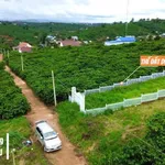 Bán đất thổ cư 91m2 giá 709 triệu gần QL28, Di Linh, Lâm Đồng - Ảnh thu nhỏ 1