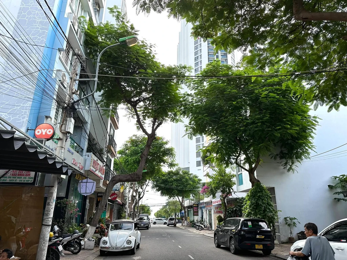 Bán lô góc 170m² mặt tiền Nguyễn Biểu Nha Trang, gần biển 26.5 tỷ - Ảnh thu nhỏ 2