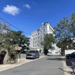 Bán 970m² lõi du lịch Đà Lạt, gần Hồ Xuân Hương 200m ra Dalat Palace, phù hợp xây Ksan 60-80P - Ảnh thu nhỏ 3
