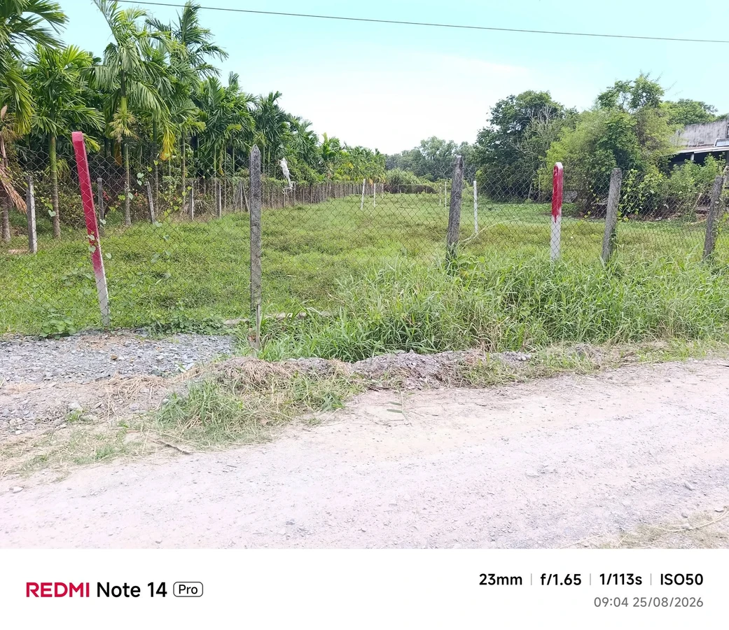 Bán đất Phường An Tịnh, Trảng Bàng, 50m², 590 triệu - Ảnh thu nhỏ 3
