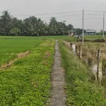 Bán đất thổ cư 171m2 Tân Trụ, Long An - Ảnh thu nhỏ 2