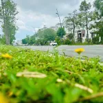 Bán BT đẹp tại Khu đô thị Phú Mỹ An Huế, 14,2 tỷ, Diện tích đất 210 m2, view đẹp - Ảnh thu nhỏ 16