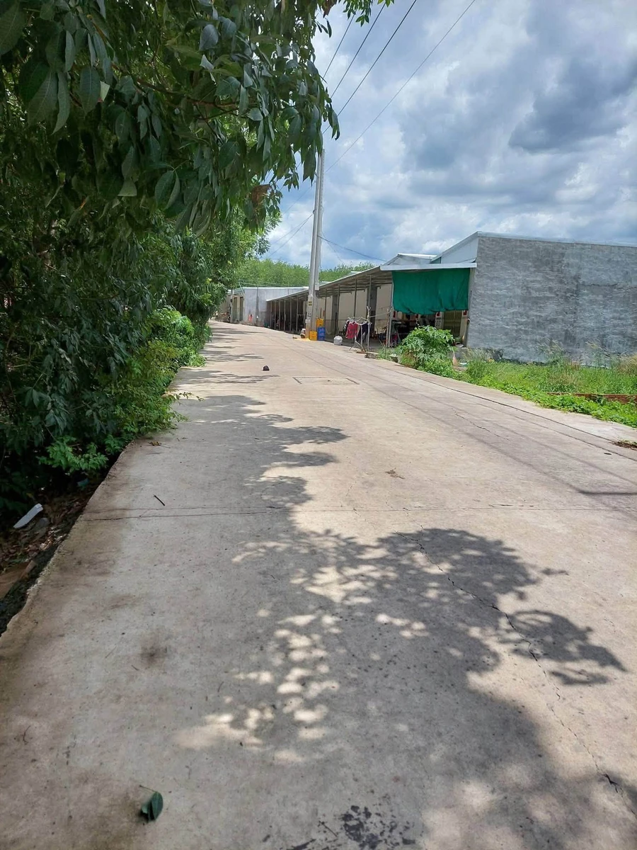 Bán đất Bình Mỹ 1.900m2 giá 3 tỷ - Ảnh thu nhỏ 5