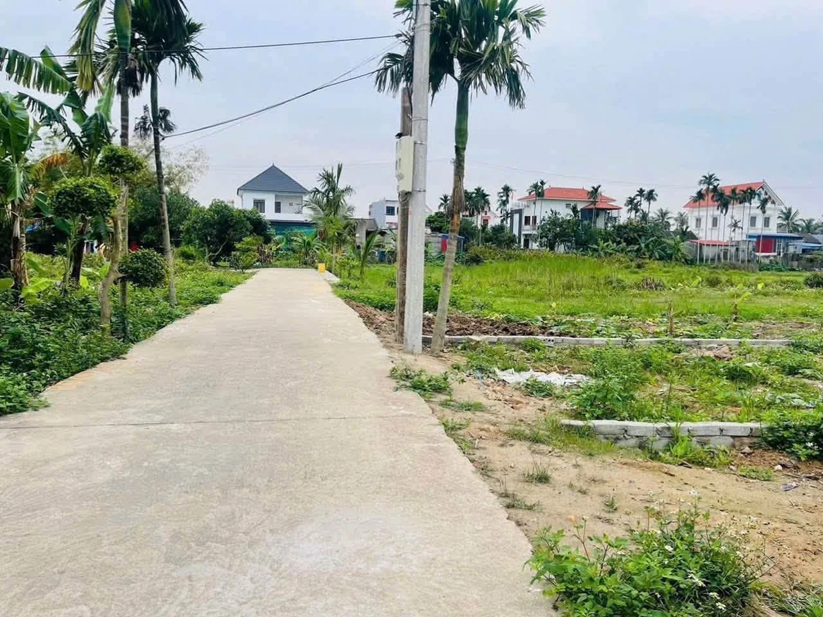 Bán lô đất 191,9m2 MT 5,5m Kiến Minh, Hải Phòng - Ảnh thu nhỏ 2