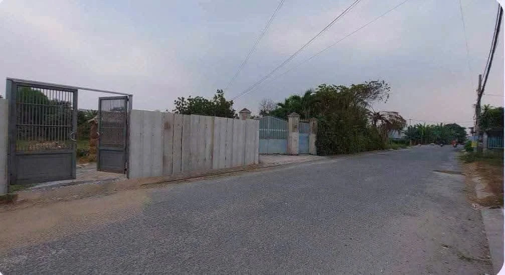 Bán đất vườn 4.500m² Xã Phước Thạnh, Bình Dương 5 tỷ - Ảnh thu nhỏ 5