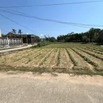Bán đất nền 240m² Phường Trương Quang Trọng Thủ Đức - Ảnh thu nhỏ 3