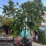 Bán cặp đất mặt tiền Nguyễn Đình Chiểu 195m2 KĐT Nam Việt Á giá 15,5 tỷ - Ảnh thu nhỏ 2