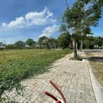 Bán đất nền 5x20 100m2 khu tái định cư Tân Tập, Cần Giuộc, Long An giá 1,48 tỷ - Ảnh thu nhỏ 1