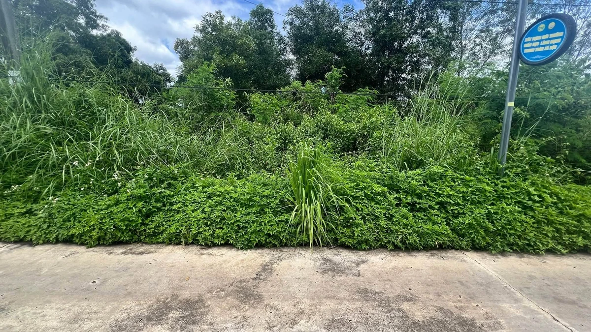 Bán đất 3850m² mặt tiền 66m Phú Hòa Đồng Nai 3 tỷ - Ảnh thu nhỏ 3