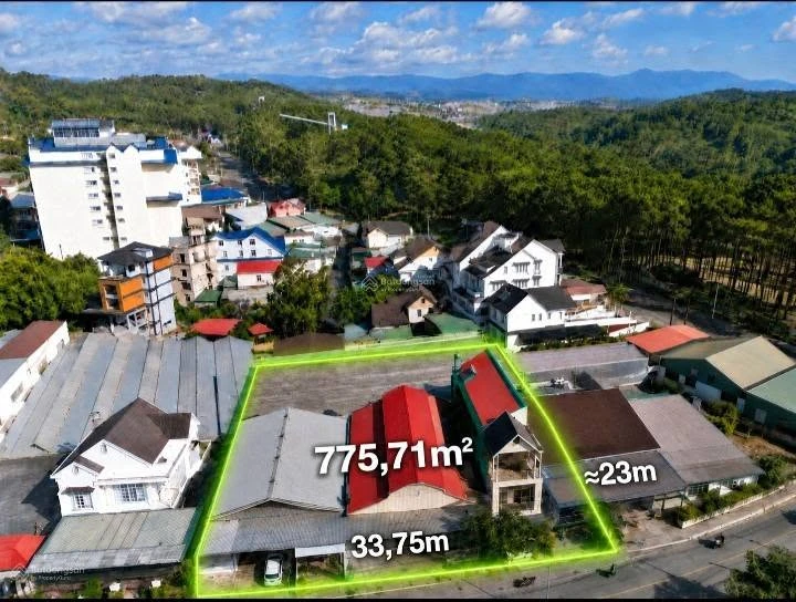 Bán 2 lô đất liền kề Nguyễn Từ Lực 775,71m² Đà Lạt 64 tỷ - Ảnh 1