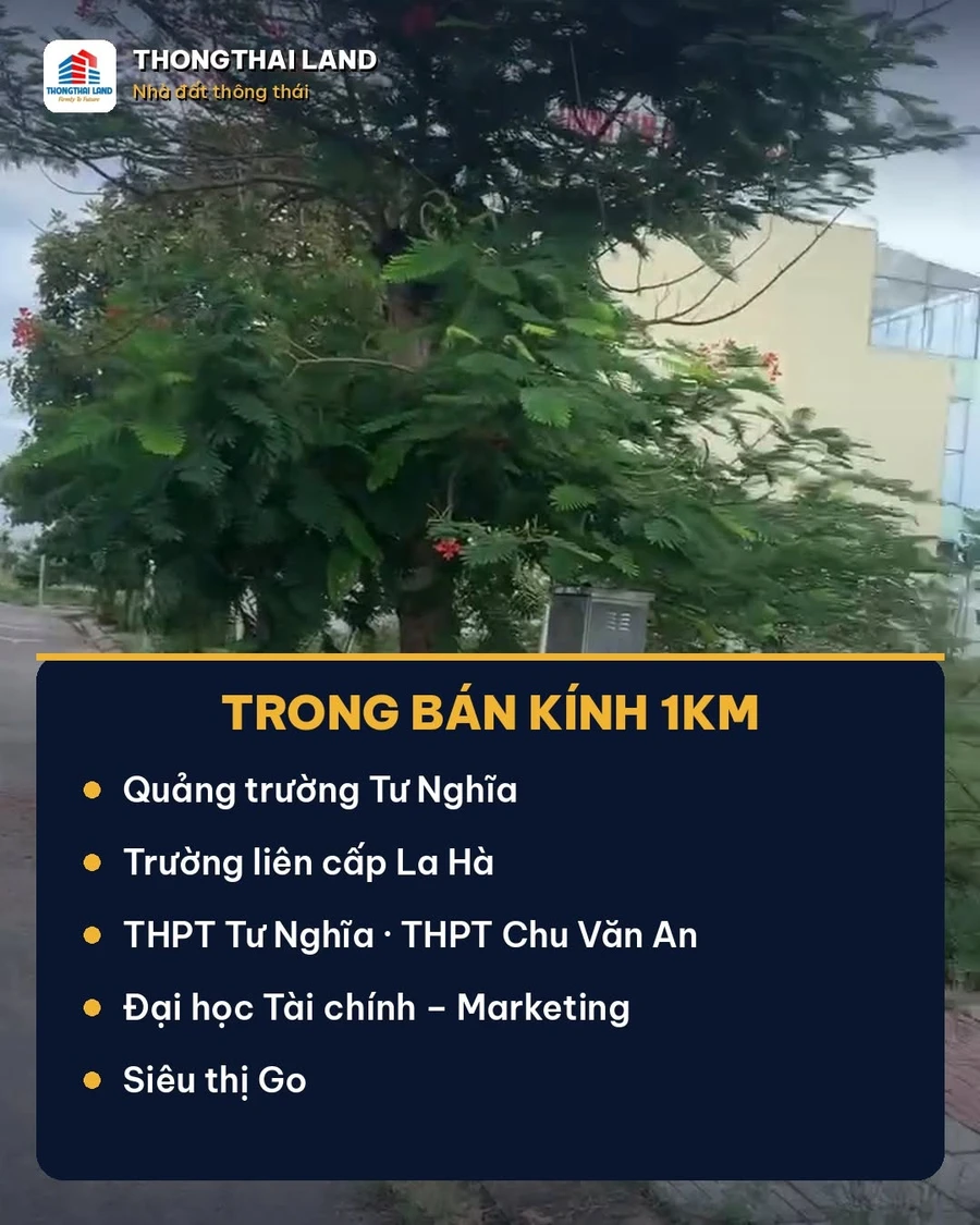 Bán lô góc đất nền 172m² An Điền Phát Quảng Ngãi - Ảnh thu nhỏ 3