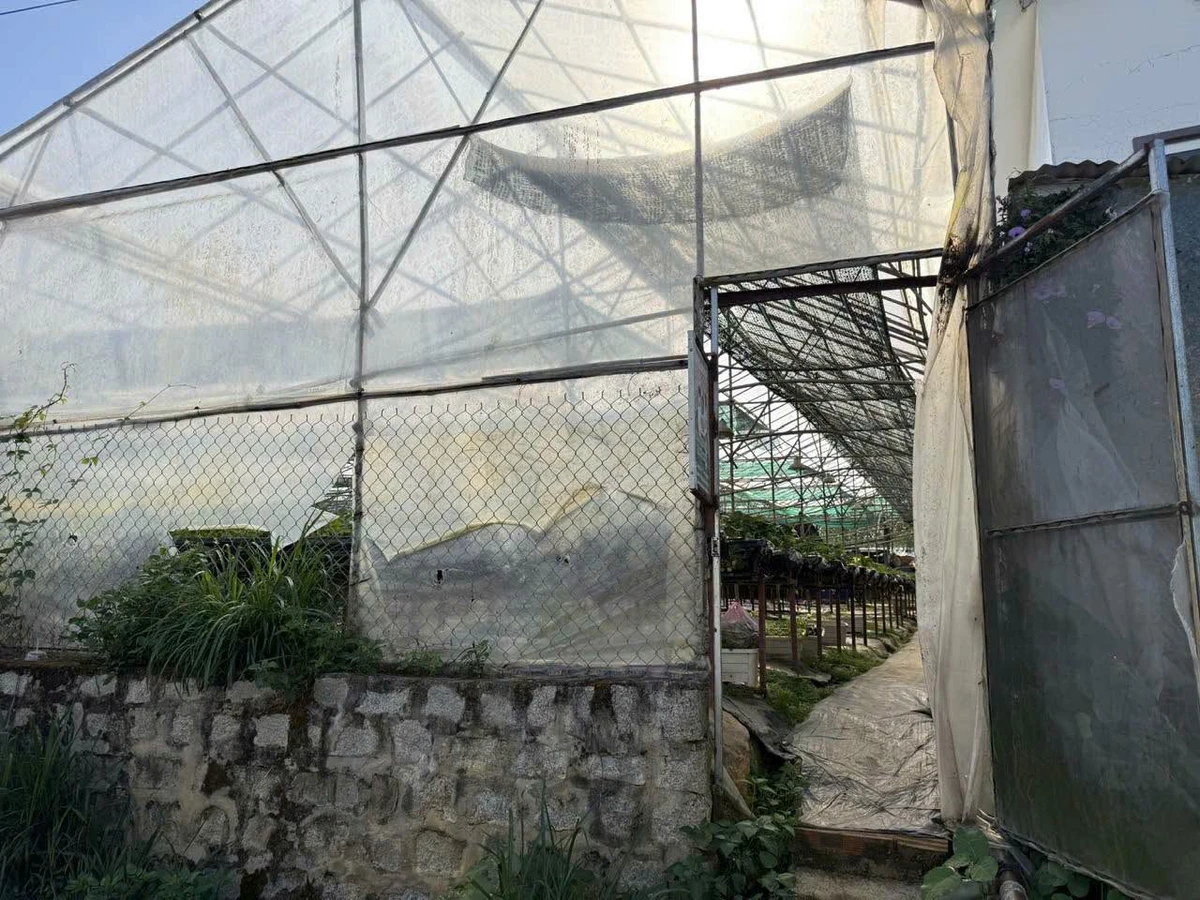 Bán đất mặt tiền 600m2 Ngô Tất Tố, Đà Lạt - Ảnh thu nhỏ 5