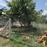Bán đất nền Tây Ninh 8.5×33m, 280m² giá 460 triệu - Ảnh thu nhỏ 5