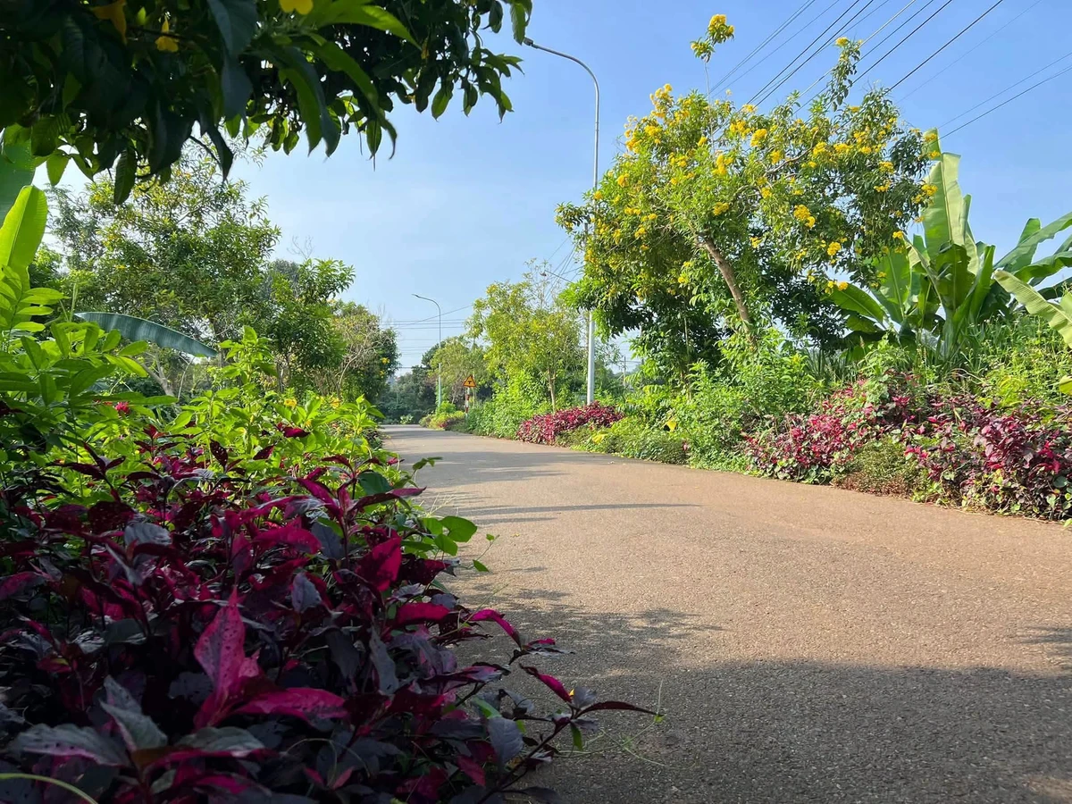 Bán đất 1444m2 tại xã Kim Long, Bà Rịa - Vũng Tàu, giá 2 tỷ 6 - Ảnh thu nhỏ 4