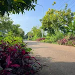 Bán đất 1444m2 tại xã Kim Long, Bà Rịa - Vũng Tàu, giá 2 tỷ 6 - Ảnh thu nhỏ 4