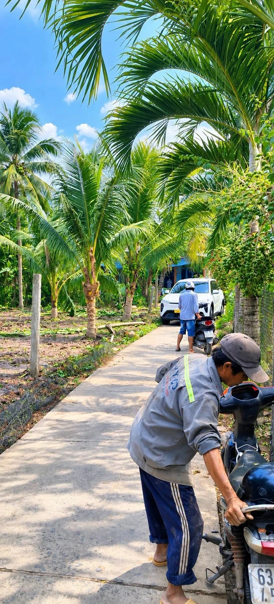 Bán đất nền 280m² gần Trường Tân Thạch B, Cần Giờ - 630 triệu - Ảnh thu nhỏ 3