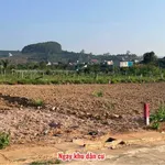 Bán đất Mê Linh giáp Đà Lạt 175m² 899 triệu - Ảnh thu nhỏ 4
