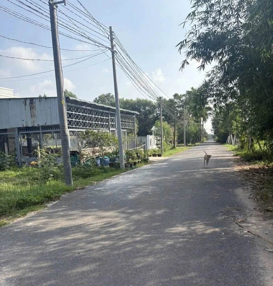 Bán đất 5x37m có 100m2 thổ cư tặng nhà tiền chế đường Phim Trường, Phú An - Ảnh thu nhỏ 5