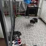 Bán nhà 85m² 3 phòng ngủ Đà Lạt 3,35 tỷ - Ảnh thu nhỏ 3