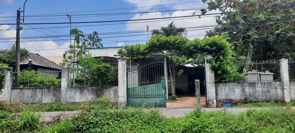 Bán đất cây lâu năm Phước Hưng Bà Rịa 5 tỷ 2941m2 - Ảnh 1