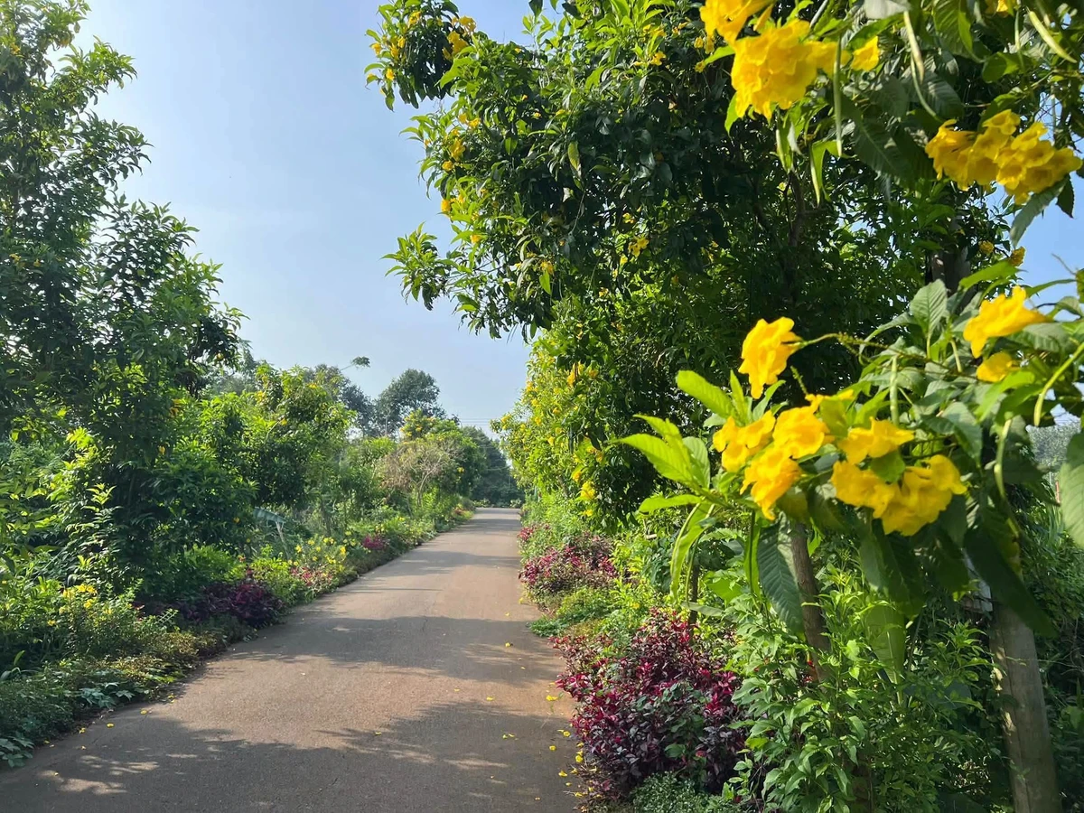 Bán đất 1444m2 tại xã Kim Long, Bà Rịa - Vũng Tàu, giá 2 tỷ 6 - Ảnh thu nhỏ 5