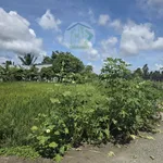 Bán 3 nền đất 596m² Cà Mau, 620 triệu gần chợ Ngan Dừa - Ảnh thu nhỏ 2