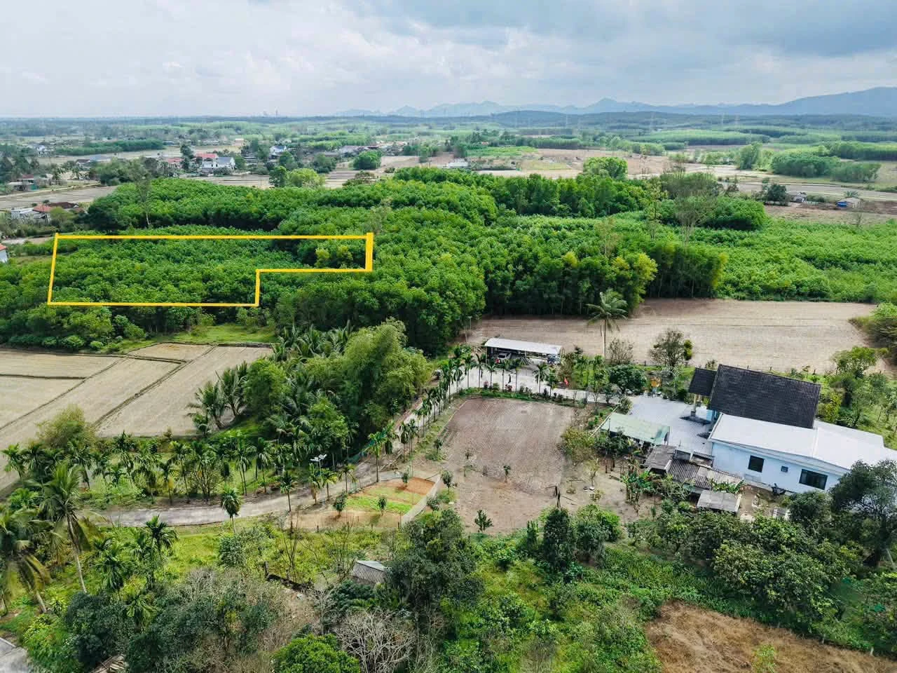 Bán 660m² đất CLN quy hoạch đất ở tại Phong Điền, TP Huế giá 99 triệu - Ảnh 1