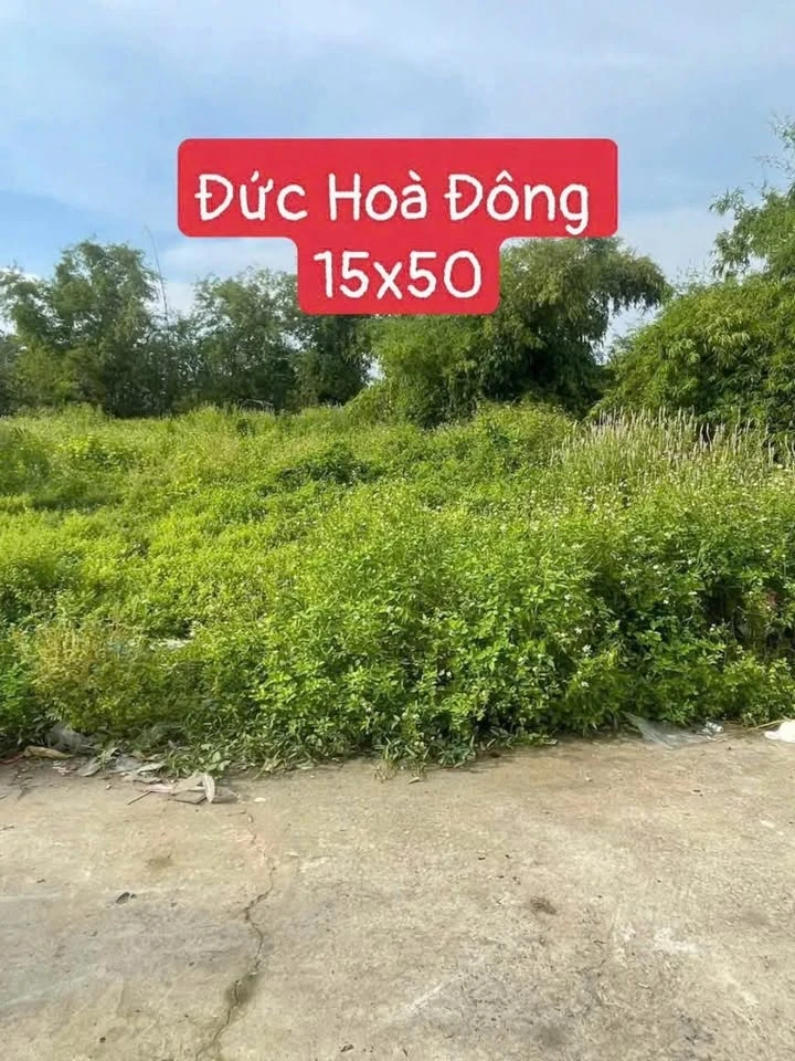 Bán đất thổ cư 15x50m sổ hồng riêng giá 1,8 tỷ tại xã Mỹ Hạnh, Đức Hòa Đông cũ - Ảnh thu nhỏ 2