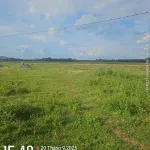 2.3 tỷ, 168m2, Đường mở rộng 24m - mặt tiền đường Số 15 - 7mx24m, sổ sẵn công chứng ngay - Ảnh thu nhỏ 10