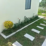 Bán biệt thự vườn 1.800m², 1PN tại Phan Thiết - 2.2 tỷ - Ảnh thu nhỏ 3