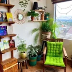 Bán homestay 8 phòng + sân thượng Đà Lạt 80m² - 6,2 tỷ - Ảnh thu nhỏ 4