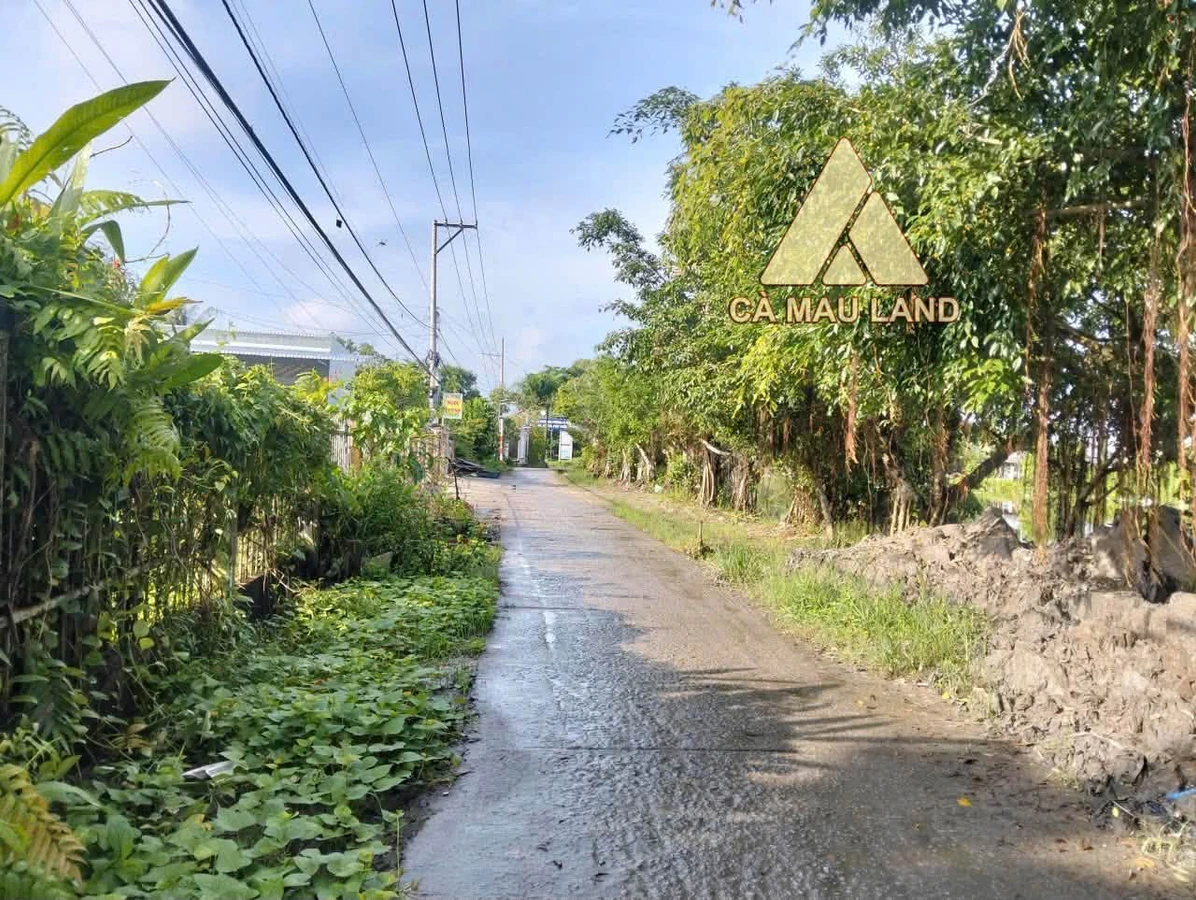 Bán nền đất 720m² Phường Lý Văn Lâm, Cà Mau, 2 tỷ - Ảnh thu nhỏ 2