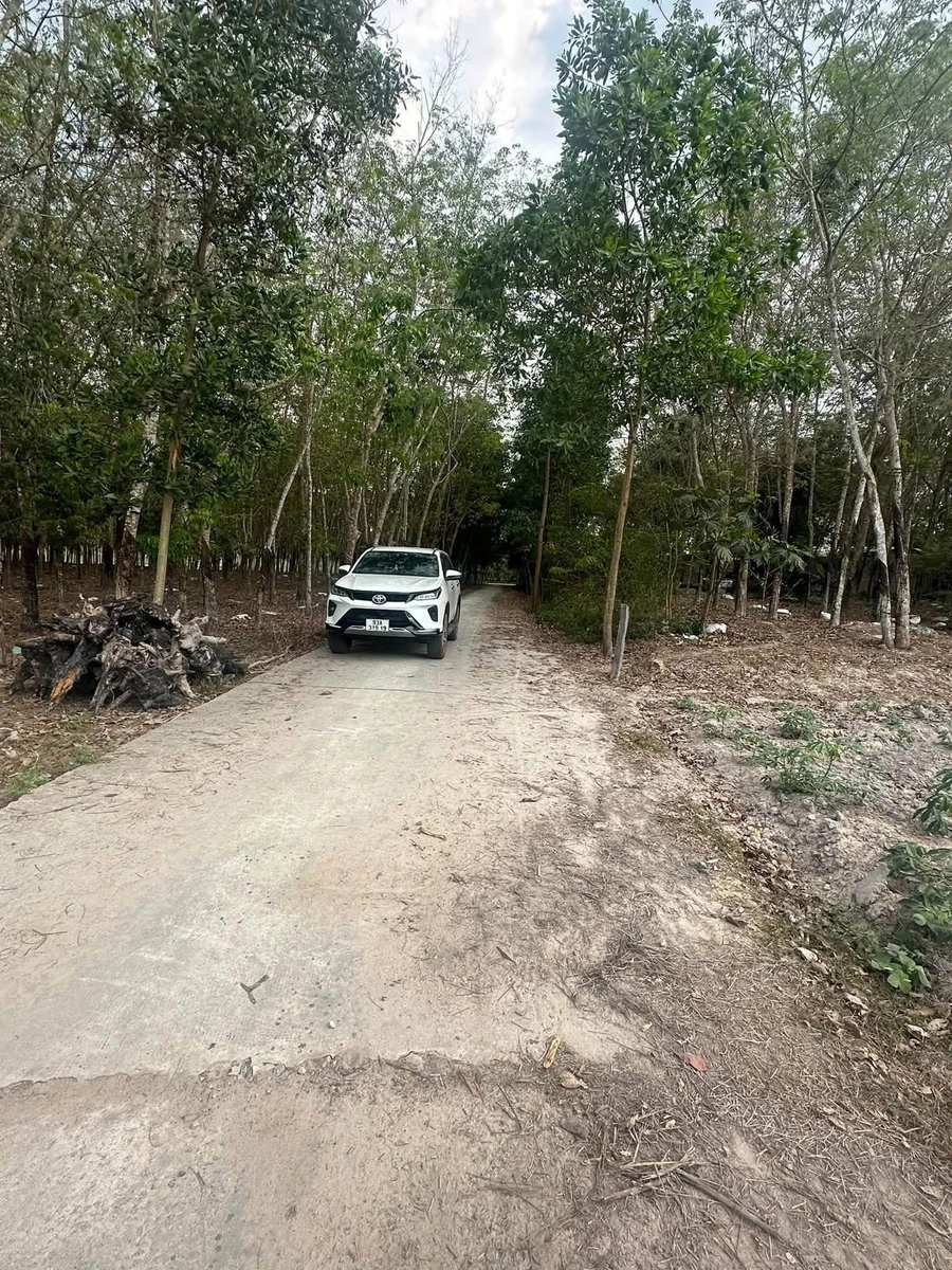 Bán đất 4700m² Phường Chơn Thành, giá 1 tỷ 350 - Ảnh thu nhỏ 2