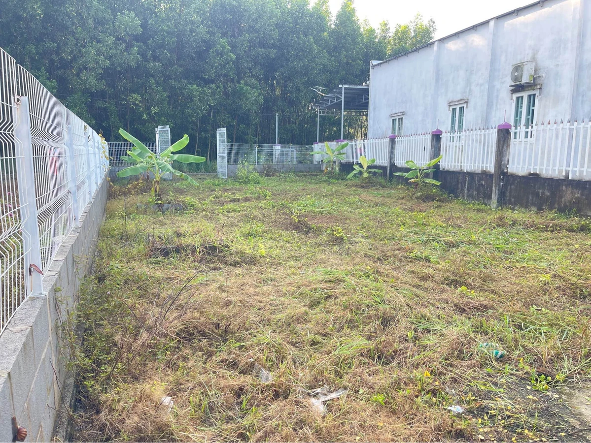 Bán nhà mặt tiền Lai Hưng 14, Quận 11, 2059m², 600 triệu - Ảnh thu nhỏ 3