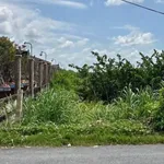 Bán 1500m2 đất lúa mặt tiền Nguyễn Văn Nhâm, Tây Ninh, 3 tỷ - Ảnh thu nhỏ 2