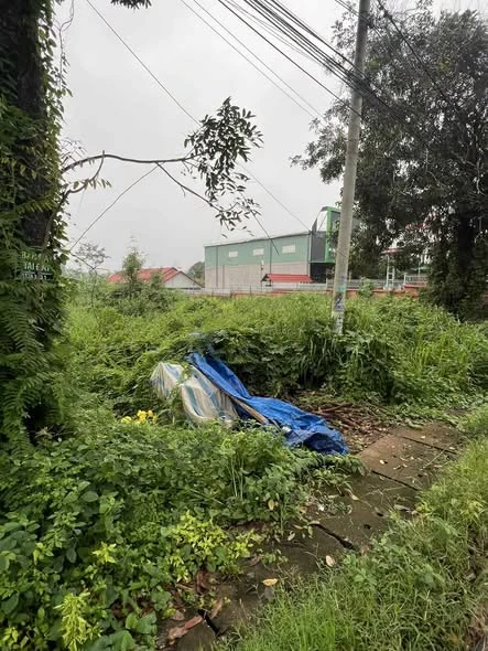 Bán lô đất mặt tiền Quốc lộ 56, 218m² Bình Ba - Ảnh thu nhỏ 2