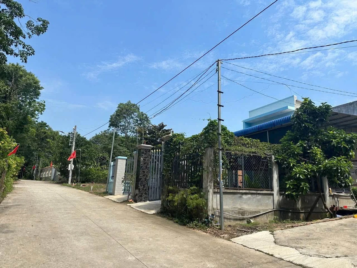 Bán lô đất sổ hồng 100m2 Phú Giáo Bình Dương - Ảnh thu nhỏ 4