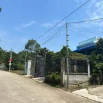 Bán lô đất sổ hồng 100m2 Phú Giáo Bình Dương - Ảnh thu nhỏ 4