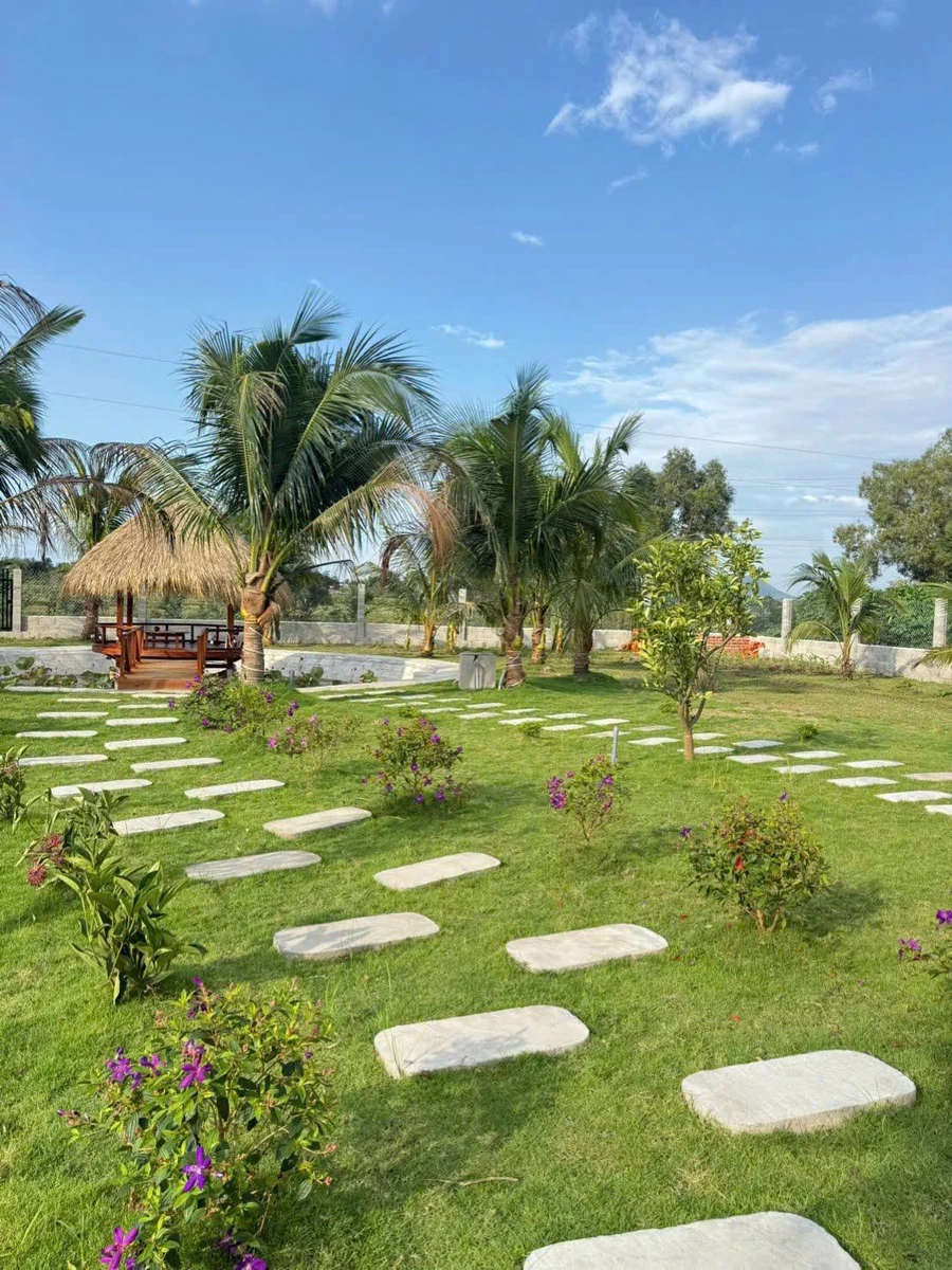 Nhà vườn nghỉ dưỡng Phan Thiết 1.606m² giá 1 tỷ 850 triệu - Ảnh thu nhỏ 4