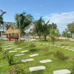 Nhà vườn nghỉ dưỡng Phan Thiết 1.606m² giá 1 tỷ 850 triệu - Ảnh thu nhỏ 4