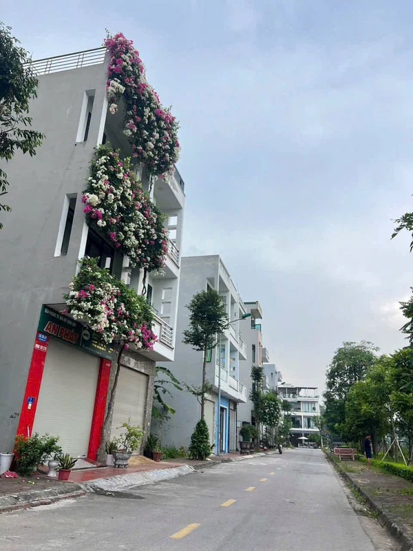 Bán lô đất 60m² mặt tiền 4m Phường Tứ Minh Hải Dương 2.59 tỷ