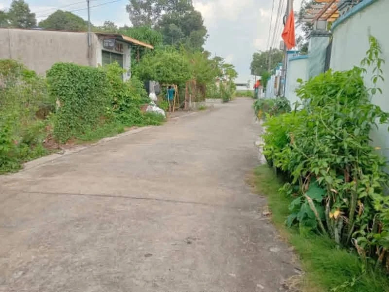 Bán lô đất thổ cư ngang 10m, 100m2 nhánh đường Bà 39, Phú An giá 3 tỷ - Ảnh thu nhỏ 3