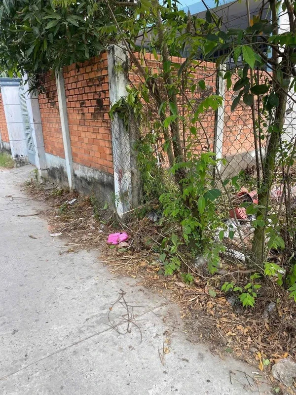 Bán đất hẻm ô tô Châu Thị Kim 182,1 m² Tân An Long An