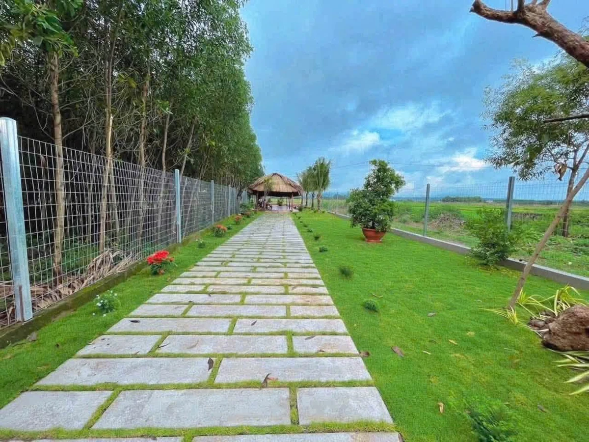 Bán đất 365m² mặt tiền TL52 Đất Đỏ, Bà Rịa - Vũng Tàu - Ảnh thu nhỏ 3