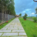 Bán đất 365m² mặt tiền TL52 Đất Đỏ, Bà Rịa - Vũng Tàu - Ảnh thu nhỏ 3
